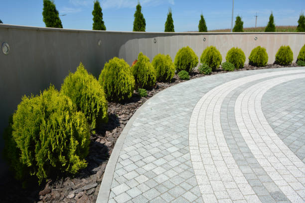 Best Driveway Paving Near Me  in Lakes East, CT